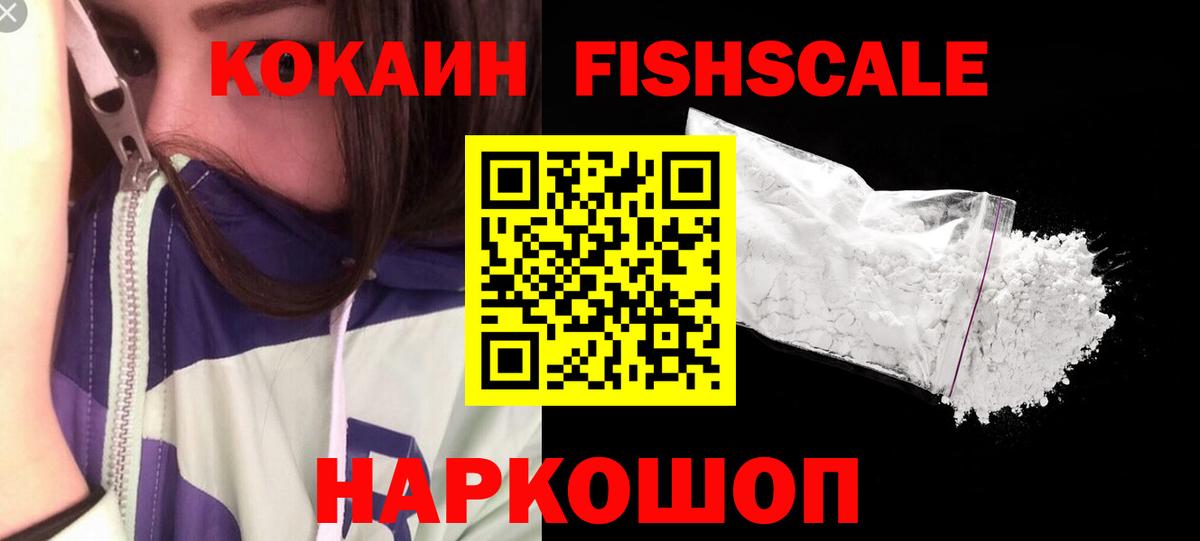 Cocaine Fish Scale  Вход с VPN  Королёв 